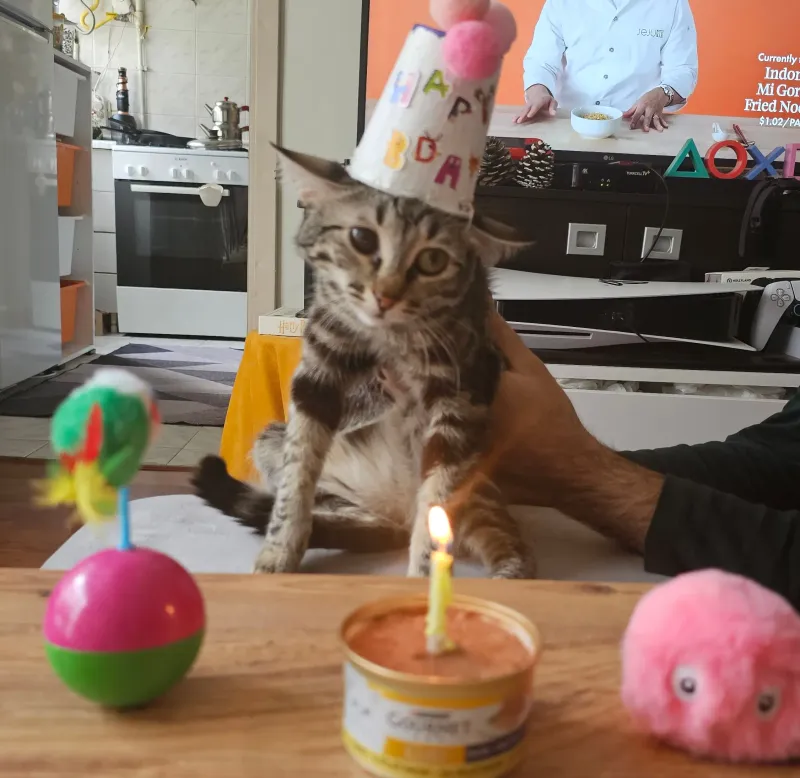 First Birthday